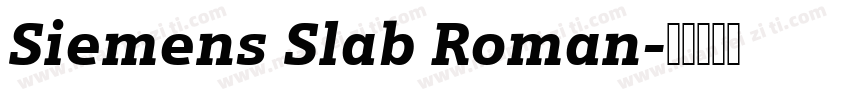 Siemens Slab Roman字体转换